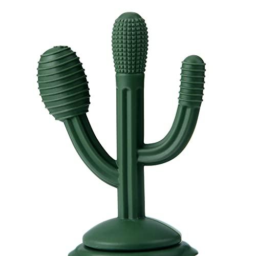 Cactus pacifier store